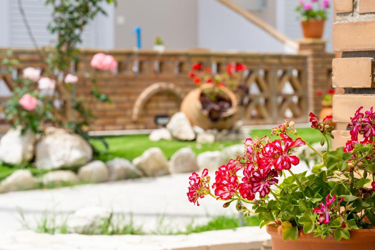Asteri * Kalamaki (Zakynthos)